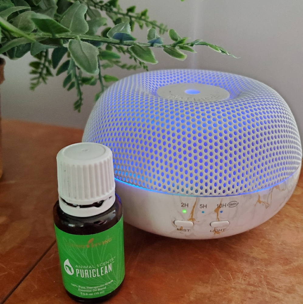 Young Living Puriclean & DoTerra Brevi Diffuser